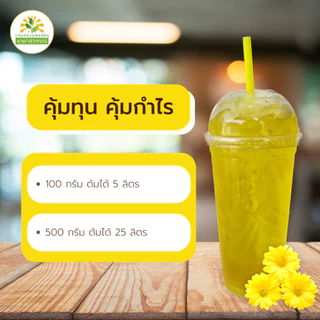 เก๊กฮวยอบแห้ง ขนาด 50-250 กรัม เกรดพรีเมี่ยม คุณภาพส่งออก มาตรฐาน GMP Dried Chrysanthemmed เก๊กฮวย เก็กฮวย