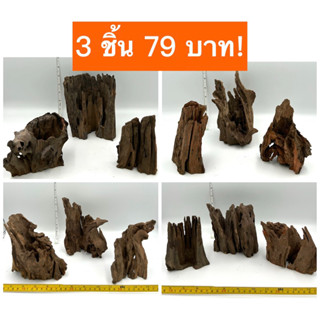 ตอไม้ จมน้ำ ขอนไม้ เศษไม้ รากไม้ กิ่งไม้ แต่งตู้ปลา จัดสวนถาด บอนไซ drift wood DIY