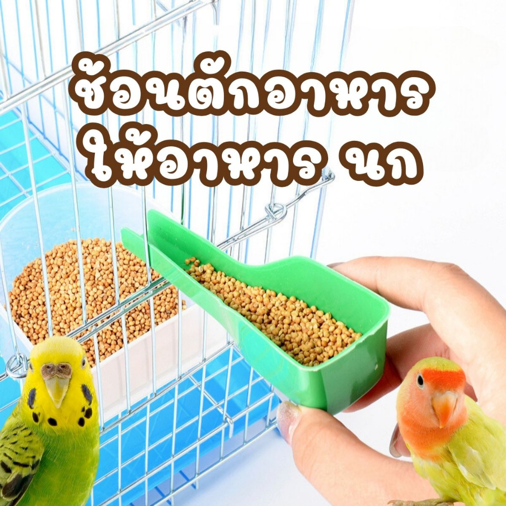 ช้อนอาหารนก ช้อนอาหารสัตว์ แสตนเลส พลาสติก ที่ตักอาหารสัตว์