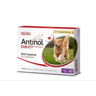 Antinol ทานได้ทั้งสุนัขและแมว (Exp.12/2024) แอนทินอล กล่องละ 60 เม็ด ของแท้100%