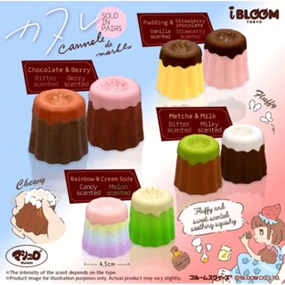 สกุชชี่ Ibloom Cannele de Mashlo พร้อมกล่องแพคเกจน่ารัก