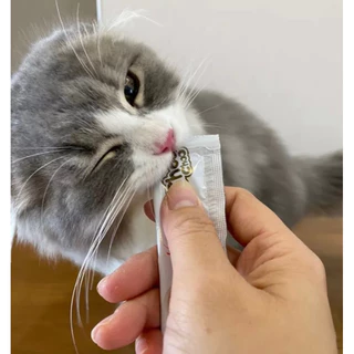 (ยกลัง+ส่งฟรี+ไม่ร่วมสะสมแต้ม) ชูชู โปรตีนบูสเตอร์ บำรุงแมว รูปแบบซองเลีย 48 แพ็ค (192ชิ้น) รสปลาแมคเคอเรลและปลาทูน่า