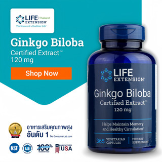 LE Ginkgo Biloba อาหารเสริมบำรุงสมอง ความจำ Life Extension Thailand