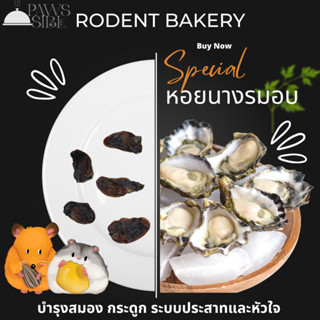 [Paws-sible] Rodent Bakery: Dried Oysters