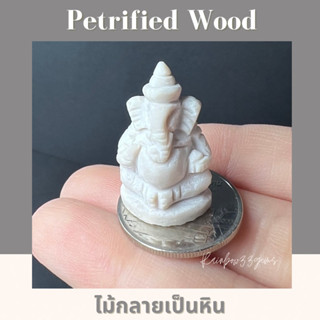 Petrified Wood องค์พระพิฆเนศแกะสลักจากไม้กลายเป็นหิน