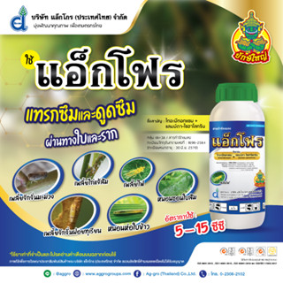 แอ็กโฟร (500cc.) :ไทอะมีทอกแซม14.1%+ แลมบ์ดา-ไซฮาโลทริน 10.6% W/V ZC  กำจัดแมลงปีกแข็ง เพลี้ย หนอน