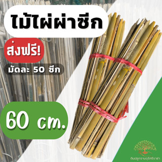 (ส่งฟรี)ไม้ไผ่ผ่าซีก 60 cm.ไม้หลักดามต้นไม้,ไม้ปักหลักต้นไม้ ส่งฟรียกเว้นเกาะ(เกาะต่างๆสั่งซื้อขั้นต่ำ 5 รายการ)