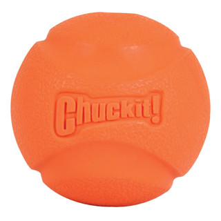 Chuckit! Fetch Ball 2 per Pack Dog Toy ชัคอิท เฟทช์ บอล 2 ลูก