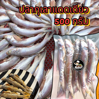 ปลากุเลาแดดเดียว ขนาด500กรัม