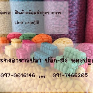 กระทงรถปูนขนาด 9นิ้ว 097-0016146