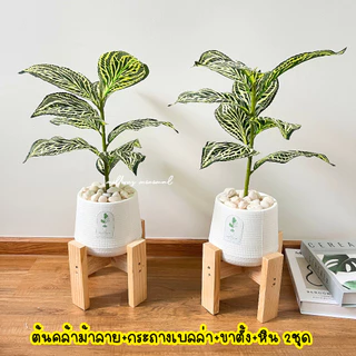 (🔥ส่งด่วน) 1แถม1 ต้นไม้ปลอม ความสูง 40-50 cm. แต่งบ้านพร้อมกระถางใครไม่มีเวลาดูแล ต้องโดนตกนะจ๊ะ ฟรีหินโรย!!