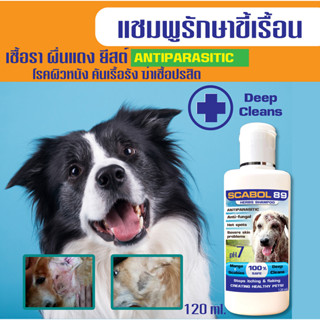 🔥สินค้าขายดี🔥แชมพูSCABOL ขี้เรื้อน เชื้อรา ยีตส์ ผื่นแดง ผิวหนังแดง 🐶สูตรสำหรับสุนัข🐶 120 ml.