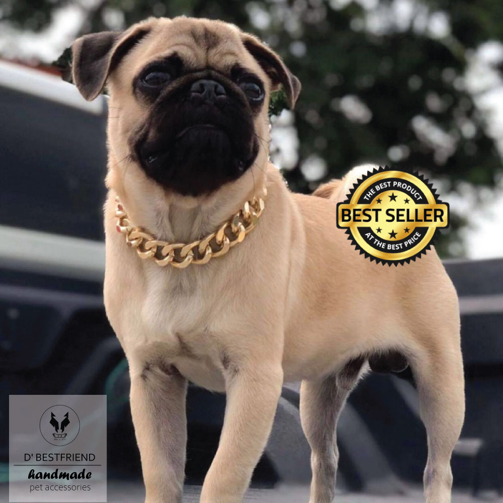 โซ่สุนัขเส้นใหญ่ สร้อยคอสุนัข  BBANG-GOLD สีทอง 18K.