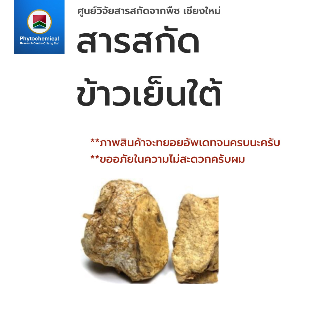 สารสกัดข้าวเย็นใต้จีน(แบบน้ำ) Smilax glabra root extract | สารสกัดจากพืช สารสกัดสมุนไพร 100% | เข้มข้นสูง 25-100 g.