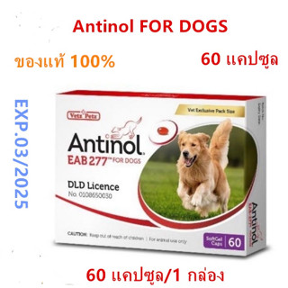 Antinol DOG ช่วยบำรุงข้อ กระดูก ขน ผิวหนัง และไต(1 กล่อง 60 caps) สำหรับสัตว์เลี้ยง EXP.03/2025