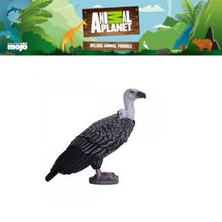 โมเดล ของเล่นเด็ก Animal Planet Model 387165P Griffon Vulture