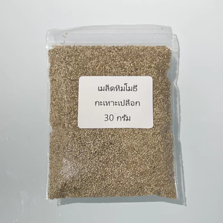 เมล็ดอัลฟาฟ่า 20-100กรัม เมล็ดหญ้าทิโมธี ( เมล็ดใหม่ 2025 จาก แคนาดา) ***ศึกษาวิธีปลูกได้ในรายละเอียดสินค้า***