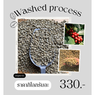 สารกาแฟขุนลาว washed process  จำนวน 1 กก.