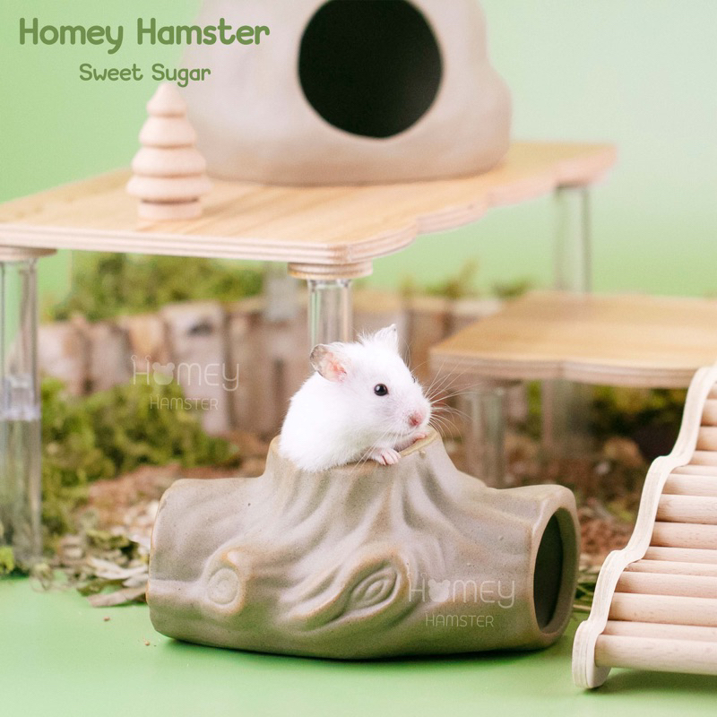 Homey Hamster โต๊ไม้แฮมสเตอร์ Sweet sugar ของแต่งกรง ชั้นลอย บ้านหลบแฮมสเตอร์ กล่องขุด niteangel รองกรง millamore h1