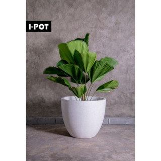 I-POT กระถางหินขัดไฟเบอร์ซีเมนต์ดีไซน์โมเดิร์นทรงโอเวิล oval ขนาด 15 นิ้ว (W40 x H34cm)