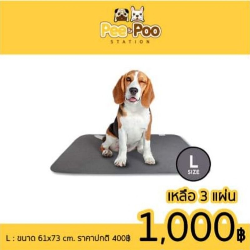 โปรโมชั่นพิเศษสำหรับแผ่นรองฉี่ !! Size L : 3 แผ่น 1,000.-