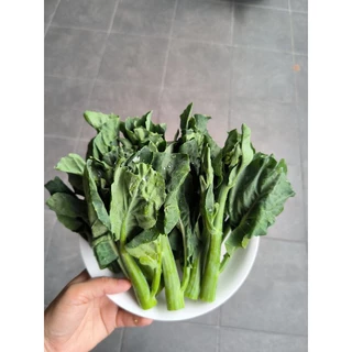เมล็ดคะน้าฮ่องกง 500 เมล็ด(ซื้อ5แถม1คละได้)