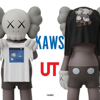 Uniqlo KAWS เสื้อยืดแขนสั้น UT , เสื้อสเวตแขนยาว