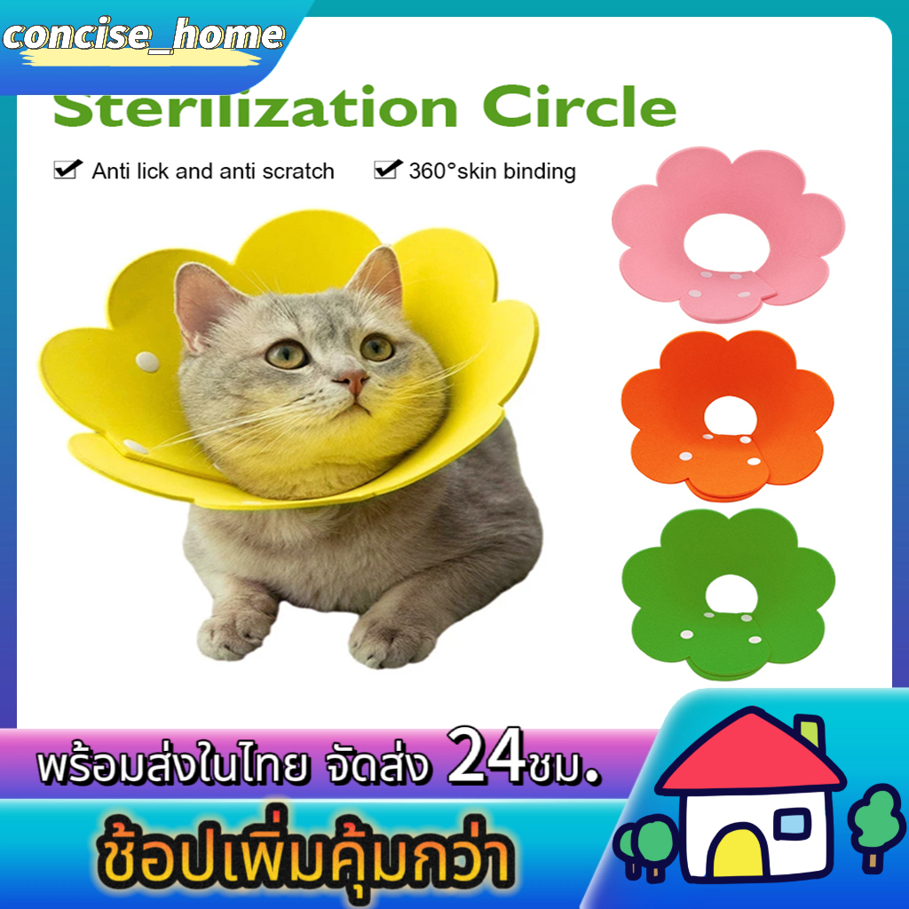 คอลล่าแมว ปลอกคอสัตว์เลี้ยง collar ปลอกคอกันเลีย คอลล่าหมา สุนัข ปลอกคอดอกไม้
