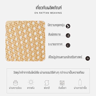 DUDEE เก้าอี้หวายเทียม รุ่น DD-176 ทรงสวยมาก ระบายอากาศได้ดี เก้าอี้รับประทานอาหาร ตกแต่งคาเฟ่