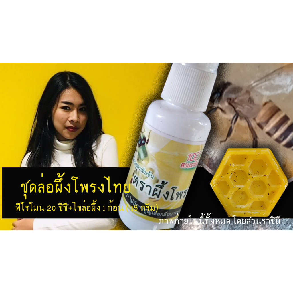 มัดรวม ไขล่อผึ้ง+ฟีโรโมน(ตราผึ้ง) จัดชุดสำเร็จรูปเพื่อการล่อผึ้ง สำหรับมือใหม่หัดเลี้ยงผึ้งโพรง หรือคนเริ่มเลี้ยงน้อยๆ