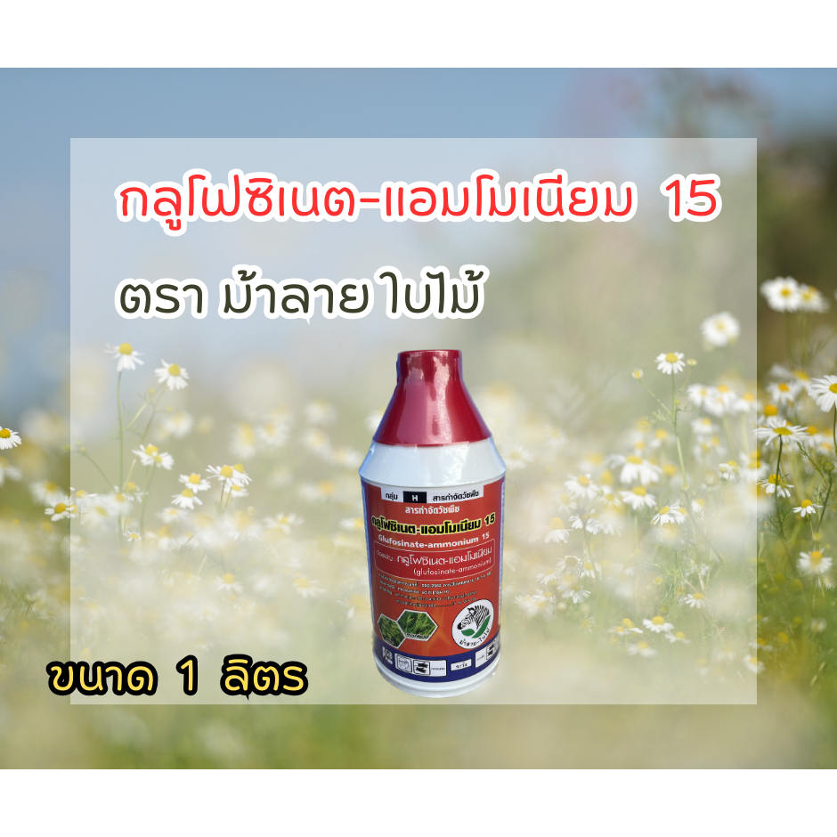 กลูโฟซิเนต สีแดง ม้าลาย 1ลิตร ยาฆ่าหญ้าชนิดเผาไหม้และดูดซึม กำจัดหญ้าตายเรียบถึงราก [20015]