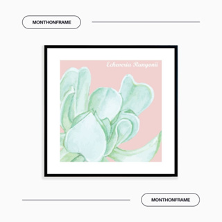 รูปภาพติดผนัง ภาพวาดตกแต่งบ้าน ภาพกระบองเพชร Echeveria Runyonii พร้อมกรอบและติดที่แขวนเรียบร้อย