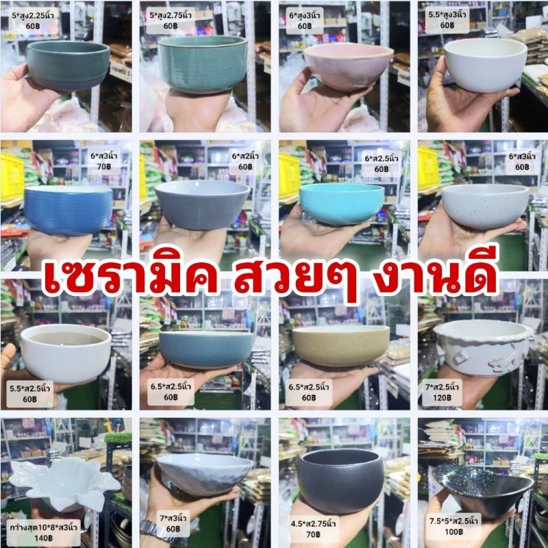 ***** เซรามิค ทรงถ้วย // ขนาด 5-7 นิ้ว // เจาะฟรี!!! // เซรามิก กระถางต้นไม้