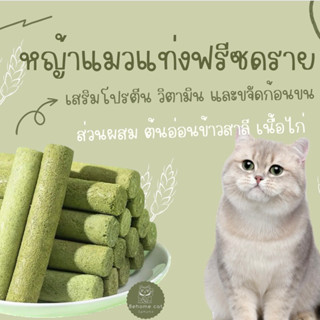 หญ้าแมวแท่งฟรีซดราย ขนมฟรีซดราย ขนมสำหรับสัตว์เลี้ยง