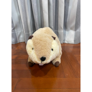 ⭐️ NEW ⭐️ Amuse Beaver ตุ๊กตา อมูส บีเวอร์  ขนนุ่ม ขนสองสี มือและท้องมีเม็ดถ่วง งานลิขสิทธิ์ แท้