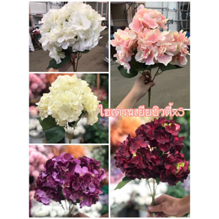 ช่อ ดอกไฮเดรนเยีย 5หัวบิวตี้ผ้าขน Hydrangea ไฮเดรนเยียปลอม ไฮเดรนเยียผ้า ดอกไม้ปลอม พร๊อบถ่ายรูป ของตกแต่งสไตล์วินเทจ