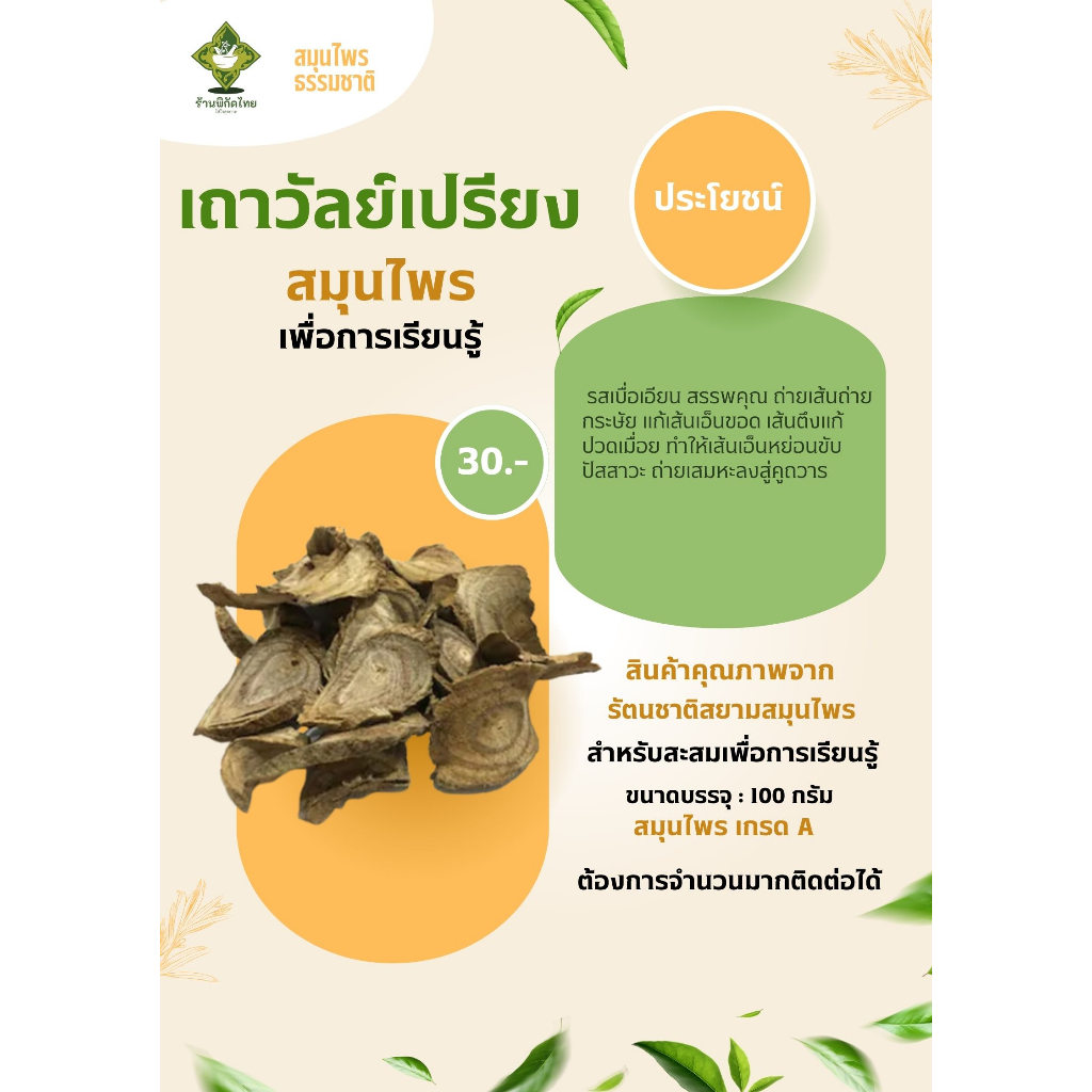 เถาวัลย์เปรียง สมุนไพรเพื่อการเรียนรู้ ขนาดบรรจุ 100 กรัม ราคา 30 บาท รับรองคุณภาพใหม่ เกรดส่งออก A++