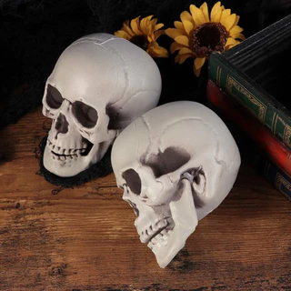 หัวกะโหลกปลอม กระดูก กะโหลก ผี หัวผี สำหรับตกแต่ง ฮาโลวีน บ้านผีสิง Fake Scary Skull for Halloween / Haunted House