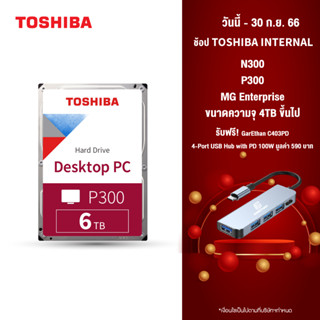 Toshiba PC HDD (6TB) TSB INT 3.5"(P300) 6TB 5400rpm128MB SATA(RB) Desktop Internal Harddisk เก็บข้อมูลทั่วไป