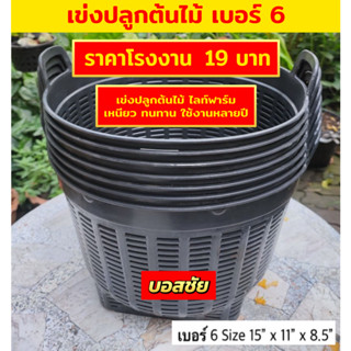 !!แพ็ค 5 เข่ง!! เข่งพลาสติก เบอร์ 6 กว้าง 15 นิ้ว เข่งปลูกต้นไม้ เข่งผลไม้ เข่งปลูกทุเรียน ตะกร้าพลาสติก หนา แข็งแรง