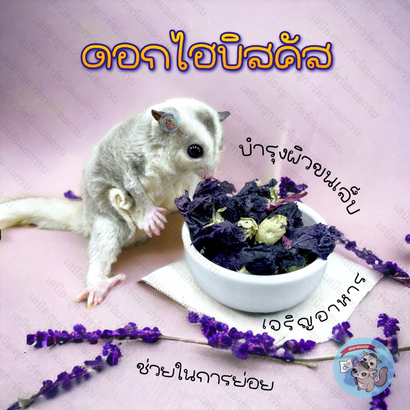( ดอกไฮบิทคัส ) HIBISCUS ไฮบิสคัส ดอกไฮบิสคัสอบแห้ง ดอกไม้ ดอกไม้อบแห้ง ชาดอกไม้ อาหาร ชูการ์ ขนม กระรอก แฮมสเตอร์