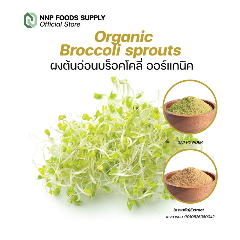 ผงต้นอ่อน บร็อคโครี่ ออร์แกนิค Organic Broccoli Sprouts powder/extract