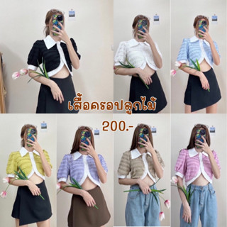 เสื้อครอปคอปกแขนสั้น ผ้าลูกไม้ แต่งทูโทนน่ารัก