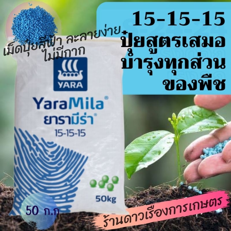 ปุ๋ยเม็ดฟ้า 15-15-15 ยารามีร่า ยกกระสอบ 50 กิโลกรัม ธาตุอาหารหลักของพืชทุกชนิด ละลายหมด พืชกินไว เห็