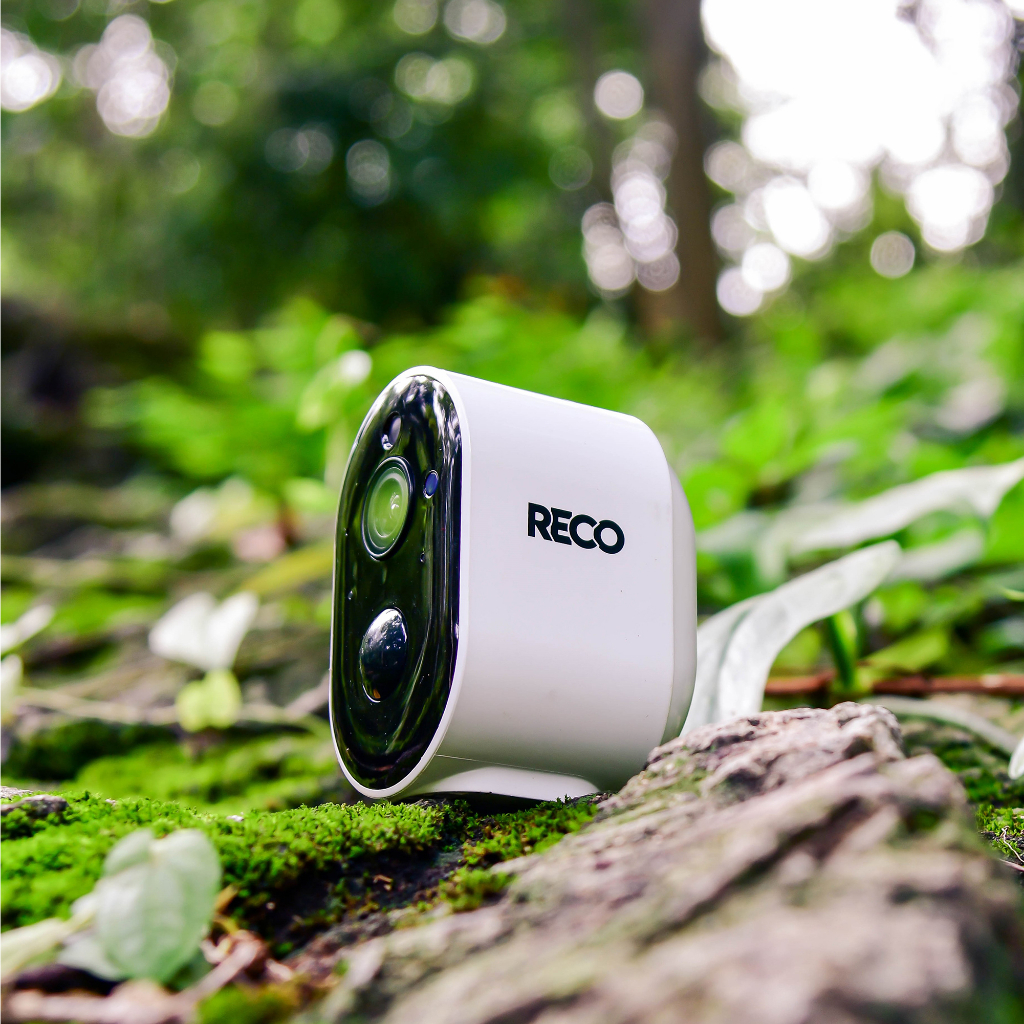 รูปภาพ 9