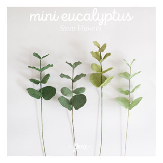 POSIE Eucalyptus Leaf Artificial Flower โพซี่ ใบยูคาลิปตัส ประดิษฐ์จากกระดาษสา