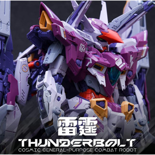 Pre-Order กรุณาอ่านรายละเอียด INERA+ :  MG 1/100 Thunderbolt