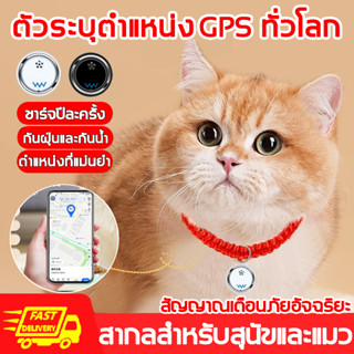 gpsสัตว์เลี้ยง gpsแมว GPS สำหรับสัตว์เลี้ยง เครื่องติดตามสัตว์เลี้ยงใช้กับสัตว์เลี้ยงทั่วไปAPP มือถือบลูทูธสมาร์ทเต