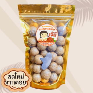 Macadamia แมคคาเดเมีย เจ๊มี ฟรีที่แกะ คัดเกรดA สดใหม่ จากดอย อบธรรมชาติ (มีเปลือก) 200 กรัม