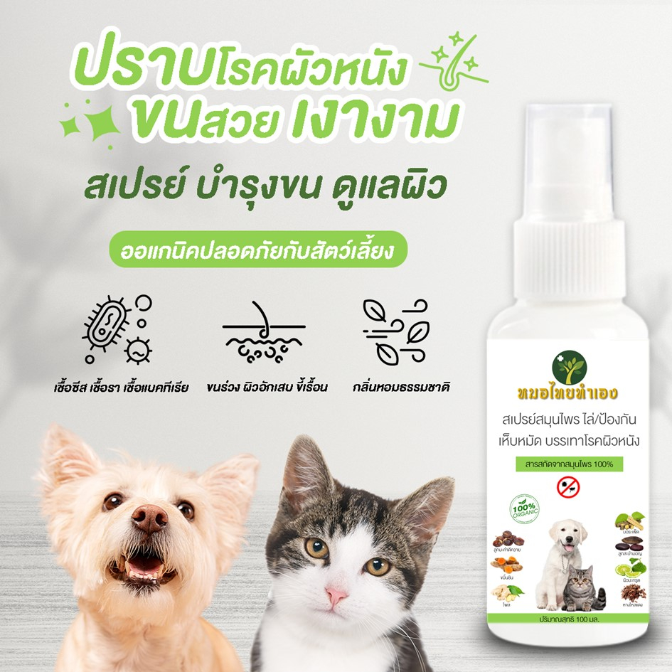 รูปภาพ 5